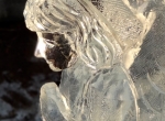 ice-foto-gallery-ice-angel-2014-2