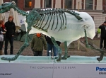 Скелет ледяного медведя фото-2