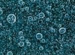 Замерзшие пузыри фото-5
