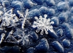 Снег по микроскопом