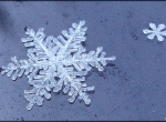 Макро фото снежинки