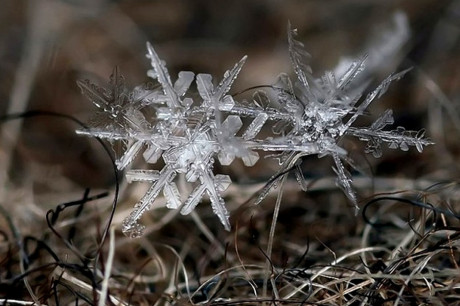 Снежинки - микроледяные скульптуры