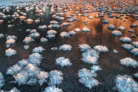 Ледяные цветы в океане