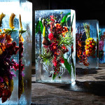 Замороженные цветы от Макото Азума